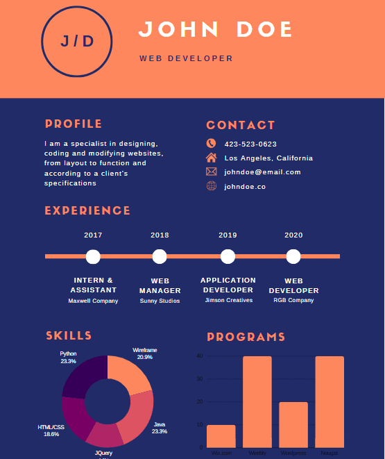 Infographic resume example.