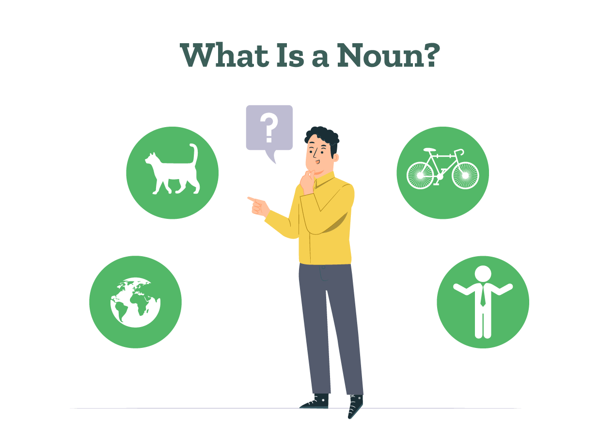 A student is confused about types of nouns related to persons, places, animals, and things.