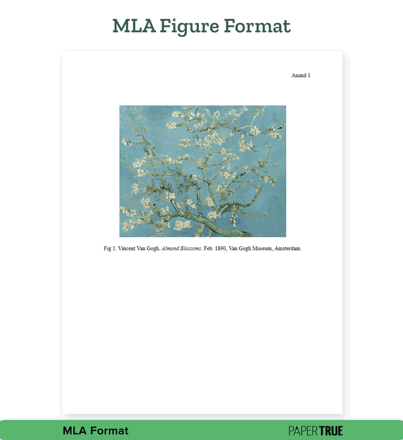 MLA image format for papers or other academic documents such as essays or dissertations.