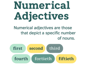 Examples of Numerical Adjectives