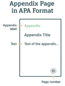 APA style appendix formatting