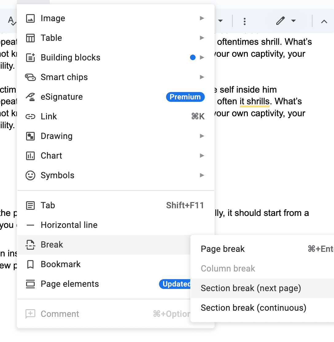 Insert menu in Google Docs displaying page element options such as Image, Table, Drawing, Chart, and break types (page break, column break, section break).