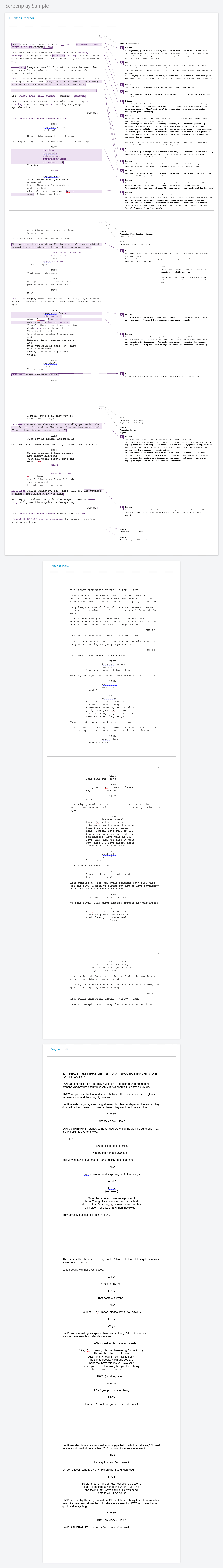 screenplay proofreading services screenplay editing services